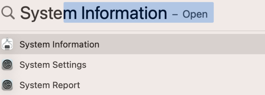 system information in terminal 